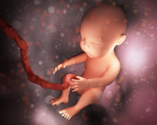 香港验血管子保存多久,怀二胎前怎么样调理身体科学备孕有方法