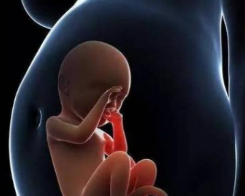 怀孕 香港验血 唐氏,莆田助孕专家提醒两次宫外孕后选择做试管，还会发生宫外