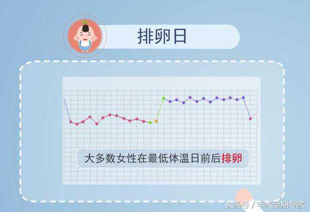 双胞胎香港验血7周和8周一样吗,备孕基础体温怎么看