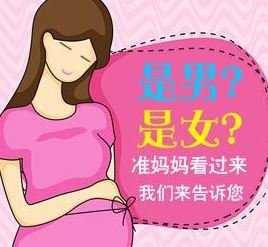香港6周验血 pg_二胎测男女精确特征