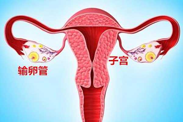 香港验血鉴定男女邮寄需要多少钱,宫腔积液如何影响辅助生殖技术中助孕过程