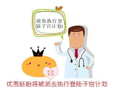 香港上水验血地址,试管婴儿双胞胎怎么提升成功率