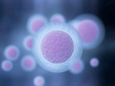怀孕多久才能香港验血,深圳试管婴儿如何获取优质的卵子与精子呢？